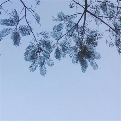 战神荣耀内购破解版下载
