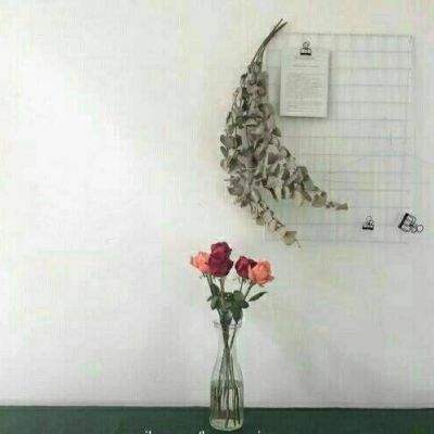 星辰泪手机版下载